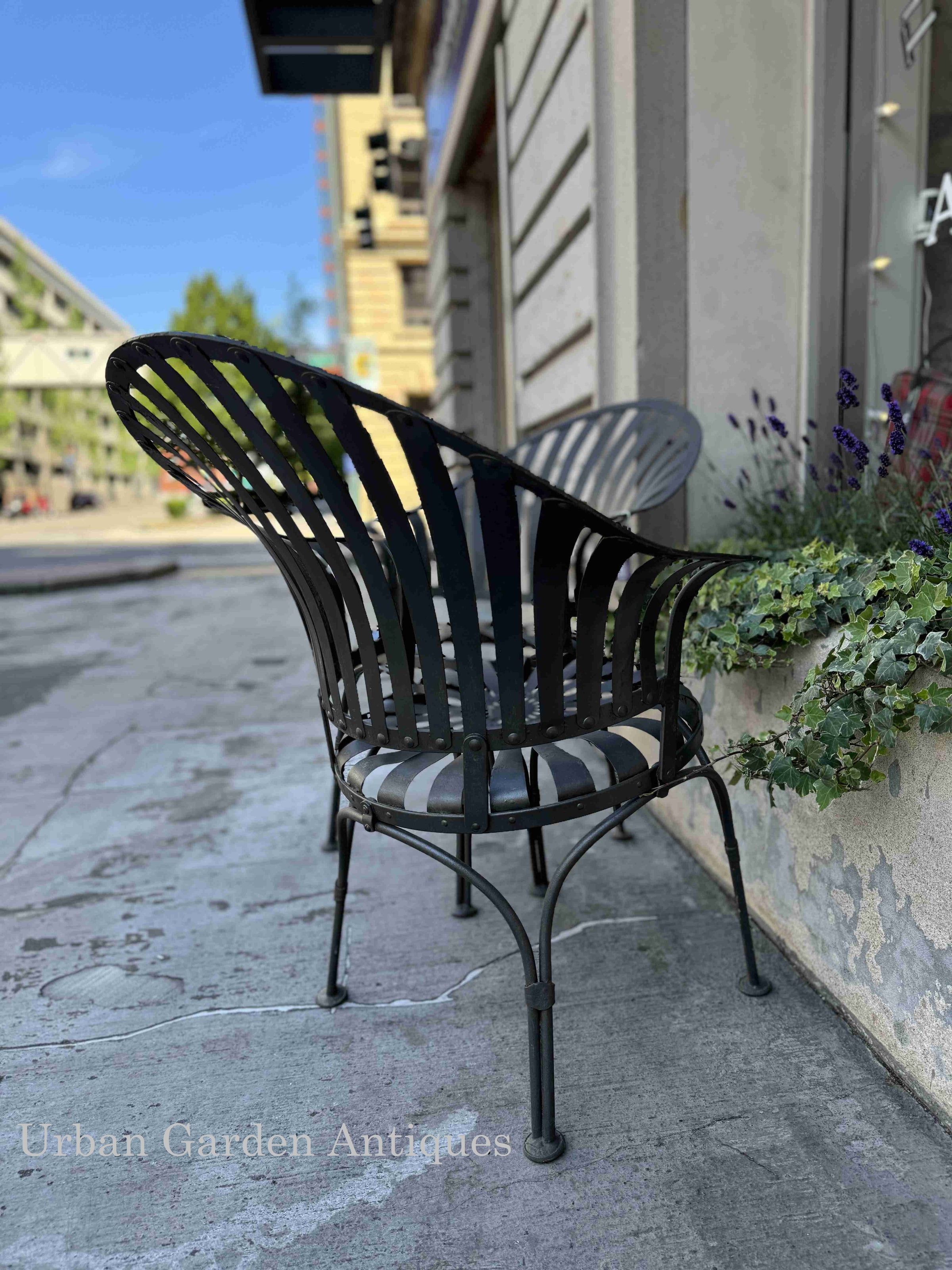 Francois Carre Sunburst Captain's Chairs | The Urban Gardener